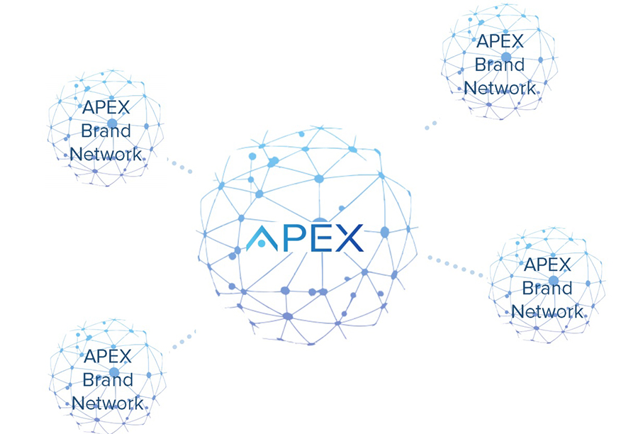 Review of the APEX ICO